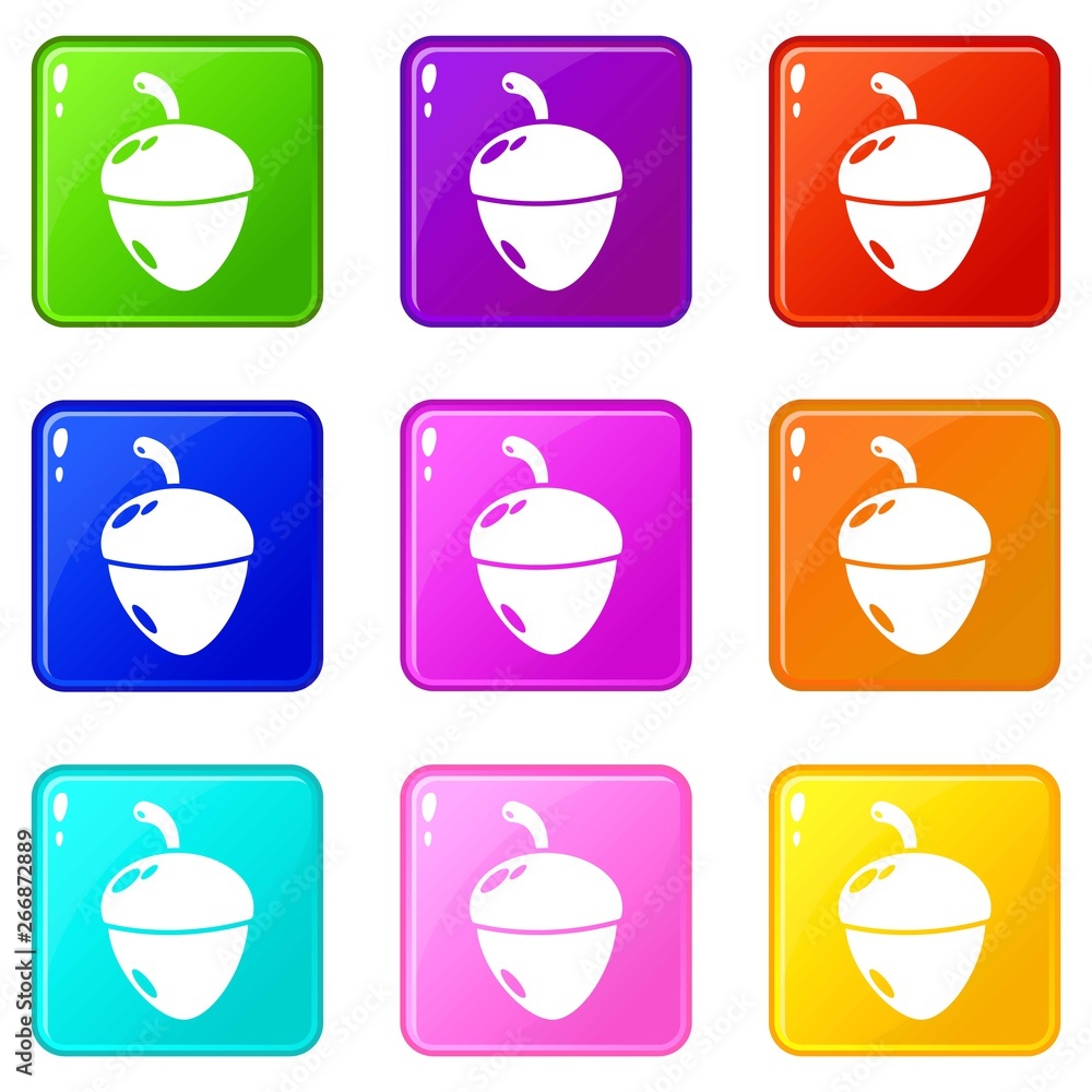 Poster acorn icons set 9 color collection isolated on white for any design