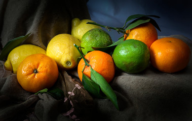 A still life of citrus fruit combining of lemons, limes and satsumas. © leighton collins