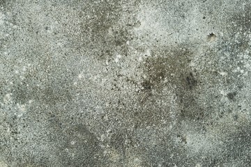 grey concrete background texture surface copy space for design or text