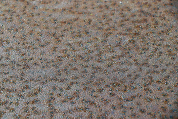 colorful rusty metal iron plate grunge wall background backdrop surface