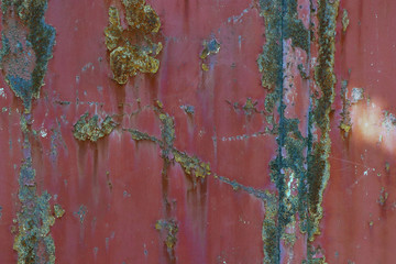 colorful rusty metal iron plate grunge wall background backdrop surface