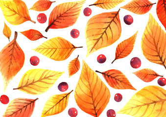 Fototapeta na wymiar Autumn leaves and red berries watercolor hand painting frame for decoration.