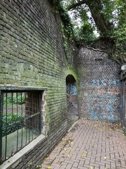 Passage that leads to brick ruins. Nature reasserts itself