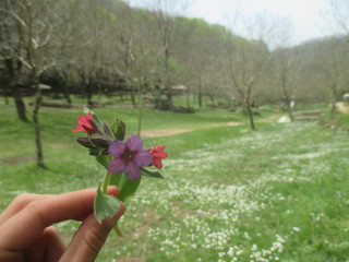 thgfcfhgyhmmgyhygyfyfv