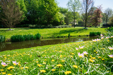Arboretum Munnike park in Zwijndrecht, The Netherlands