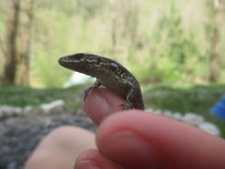 thgfcfhgyhmmgyhygyfyfv