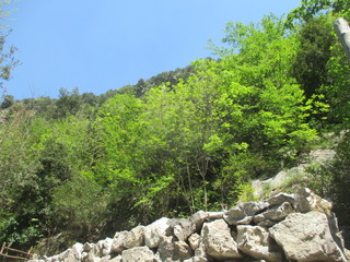 thgfcfhgyhmmgyhygyfyfv