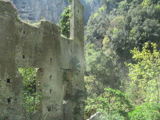 thgfcfhgyhmmgyhygyfyfv