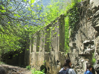 thgfcfhgyhmmgyhygyfyfv