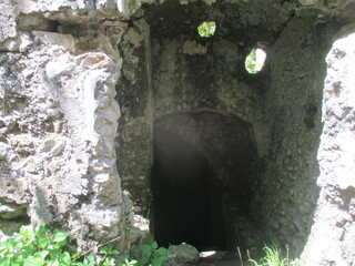 thgfcfhgyhmmgyhygyfyfv