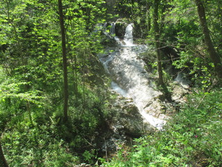 thgfcfhgyhmmgyhygyfyfv