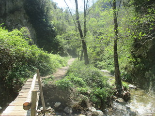 thgfcfhgyhmmgyhygyfyfv