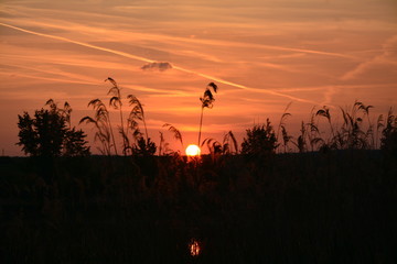 sunset at the lake