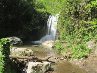 thgfcfhgyhmmgyhygyfyfv