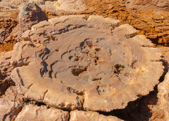 Concretions of salt rocks in the Danakil Depression in Ethiopia, Africa.