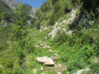 thgfcfhgyhmmgyhygyfyfv