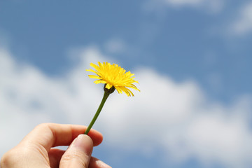 花を持つ手と青空