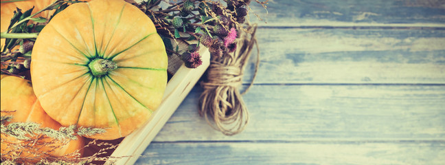 Autumn pumpkins and dry flowers flat lay