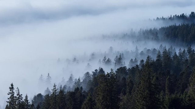 Timelapse de la mer de brouillard sur la plaine, depuis le Jura.
