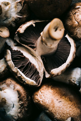 frische Champignon Pilze nahaufnahme von oben fotografiert detailreich 