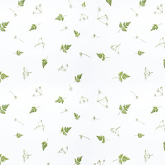 Floral pattern made of green leaves, branches on white background. Flat lay, top view. Valentine's background.  Pattern of flowers. Flowers pattern texture