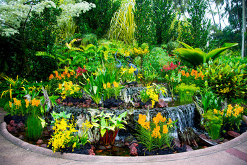 National Orchid Garden - Singapore