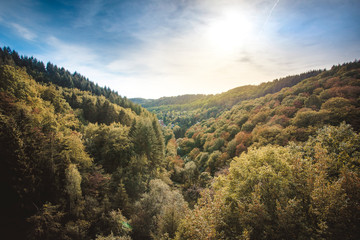 landscape in the mountains