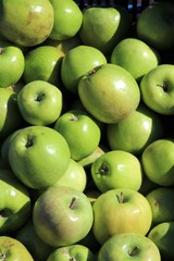 Beautiful green apples