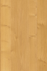 natural light brown oak tree wood surface structure texture background high size
