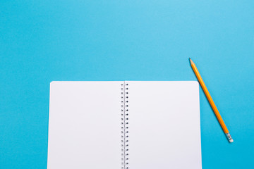 Creative flat lay photo of workspace desk. Top view office desk with open mock up notebooks and pencil and plant on blue pastel color background. Top view with copy space, flat lay photography.