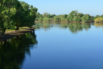 Discovery Park in  Sacramento in late spring.