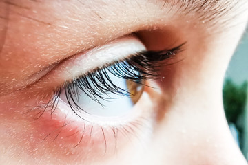 Obraz premium Beautiful eye macro shot kid