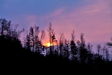 the sunset between the trees on the hill