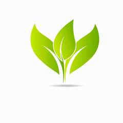 Eco icon green leaf vector illustration isolated