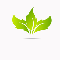 Eco icon green leaf vector illustration isolated