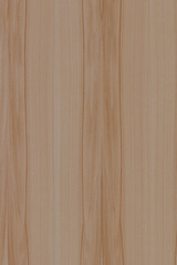 ash-tree tree timber wood surface wallpaper structure texture background