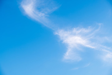 Naklejka na ściany i meble Fluffy cloud is floating on the clear blue sky.