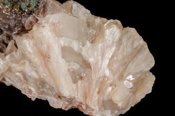 Macro stone albite mineral on white black close up