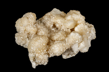 Macro stone albite mineral on white black close up