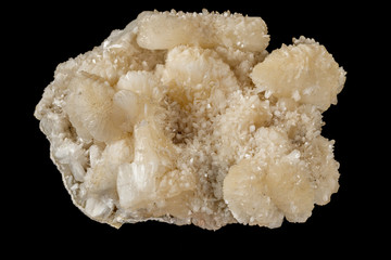 Macro stone albite mineral on white black close up