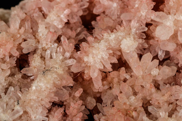 Macro stone mineral pink quartz amethyst on a black background