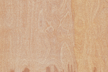 light brown tree wood wallpaper structure texture background pattern