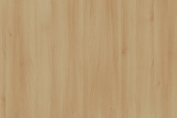 light brown tree wood wallpaper structure texture background pattern