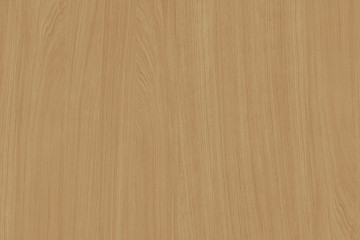 light brown tree wood wallpaper structure texture background pattern