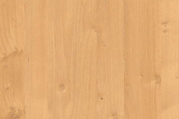 light brown tree wood wallpaper structure texture background pattern