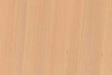 light brown tree wood wallpaper structure texture background pattern