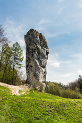 Limestone rock called 