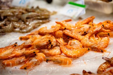 Raw fresh seafood langoustines