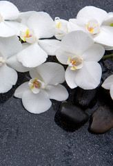 Obraz na płótnie Canvas Still life with spa stones and white orchid.
