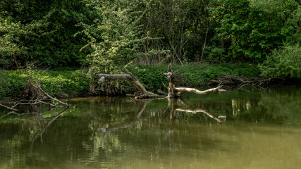 Flusslandschaft entlang der Rednitz in Fürth/Bayern